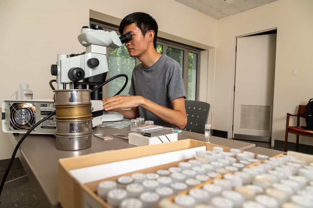 Jonathan Chen, autor principal do estudo, examina fósseis de foraminíferos ao microscópio