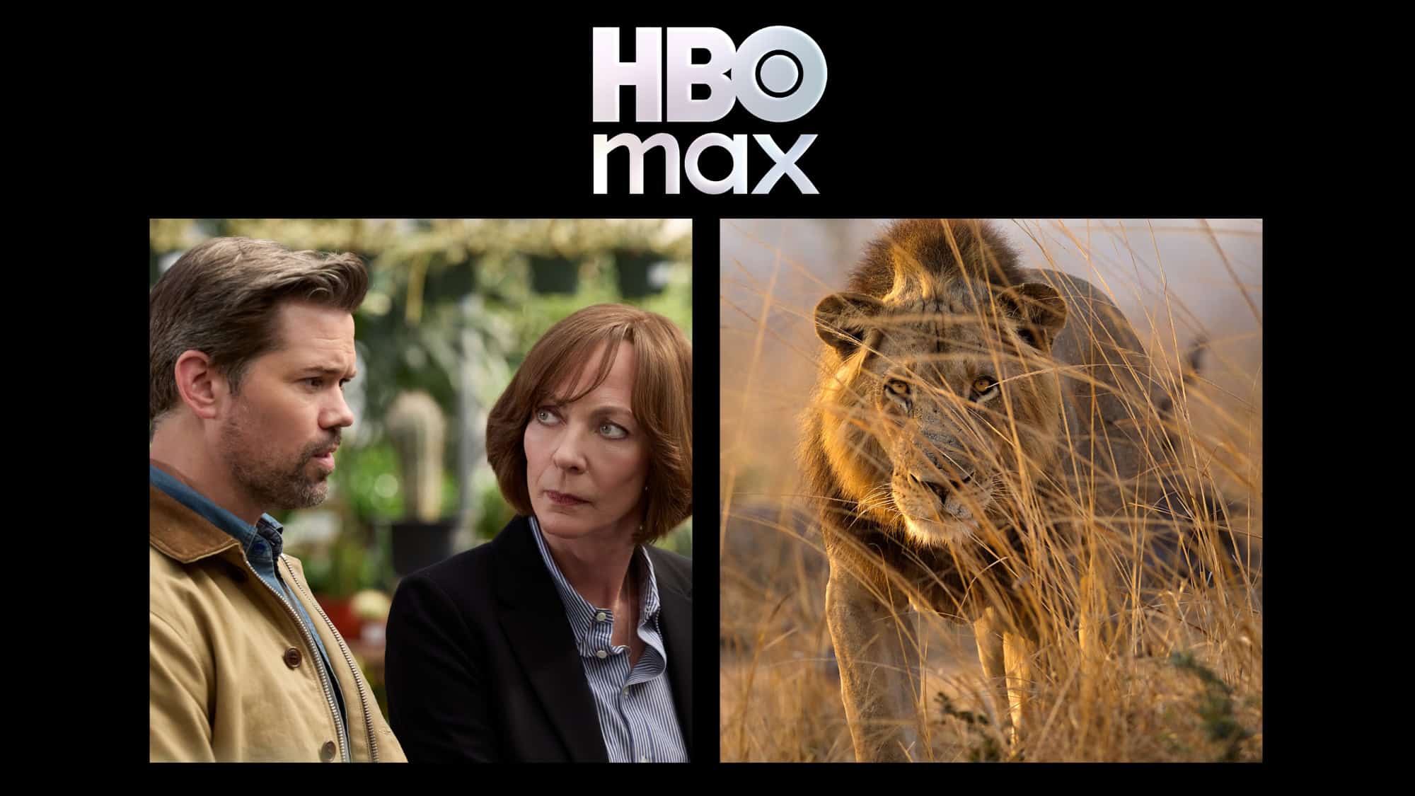 HBO Max: lançamentos da semana (24 a 30 de agosto)