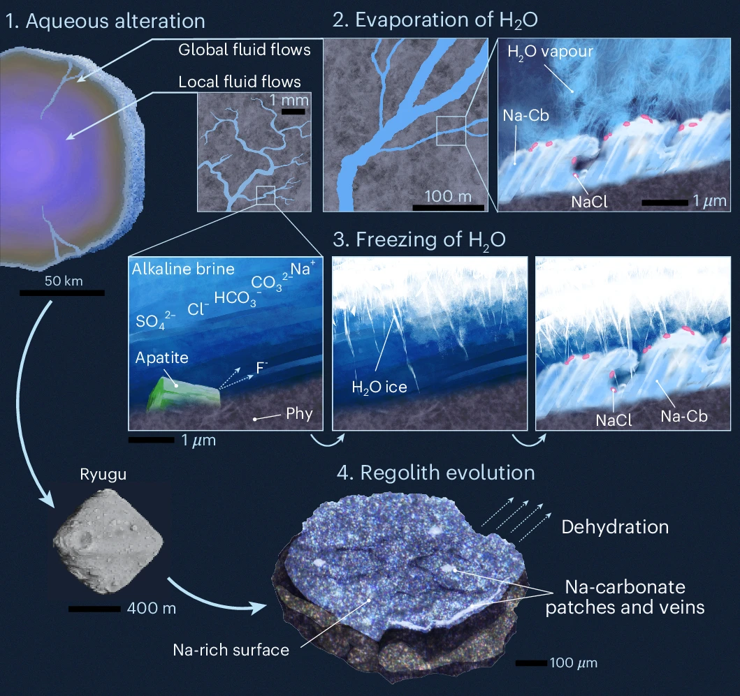 Ryugu água asteroide