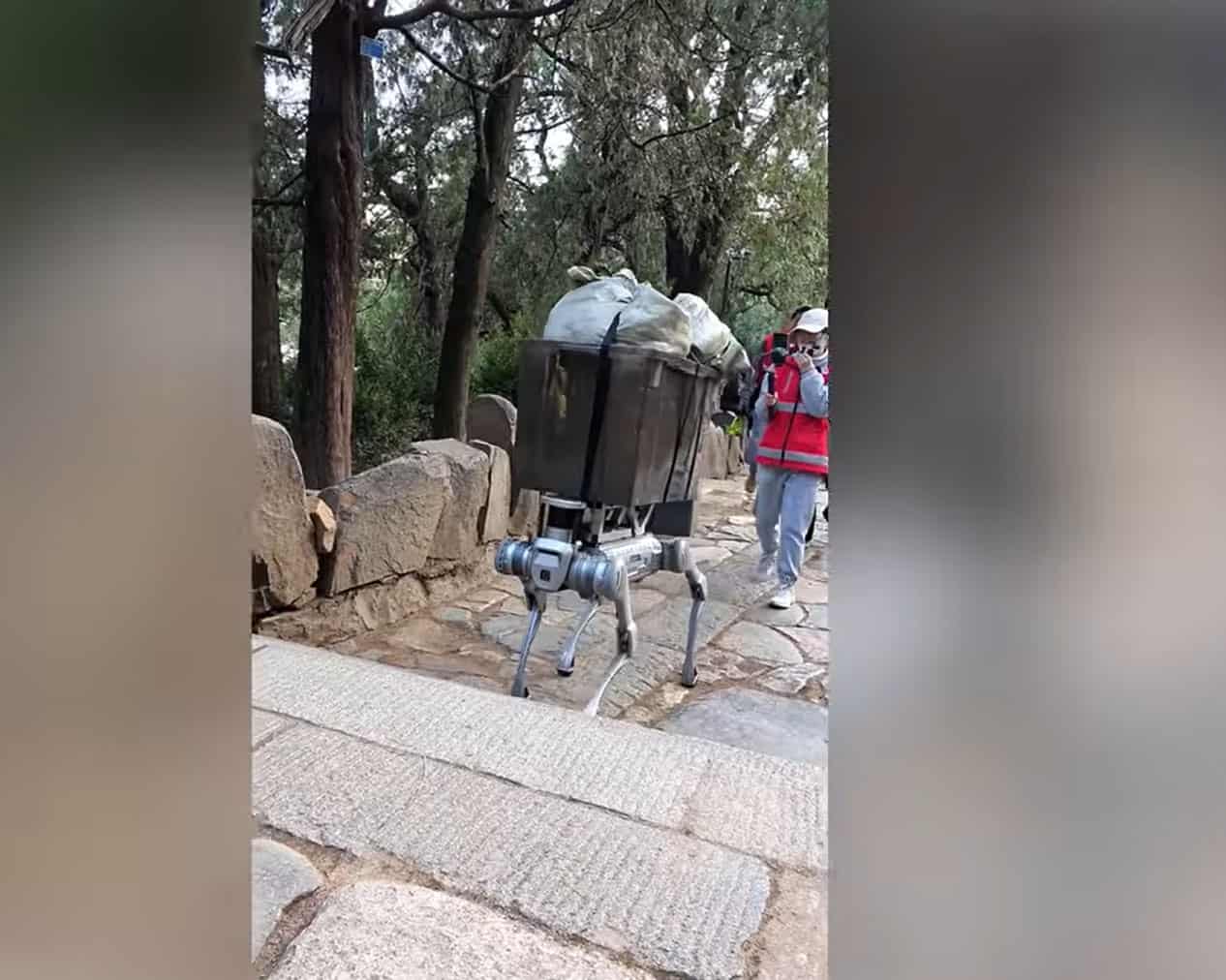 Cão-robô