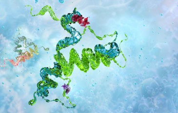 Proteína de príon humano (PrP), mostrando alfa-hélices e beta-folhas. Desdobramento de proteínas, distúrbios neurodegenerativos, doenças priônicas, pesquisa de biologia molecular. Imagem 3D da biotecnologia médica científica
