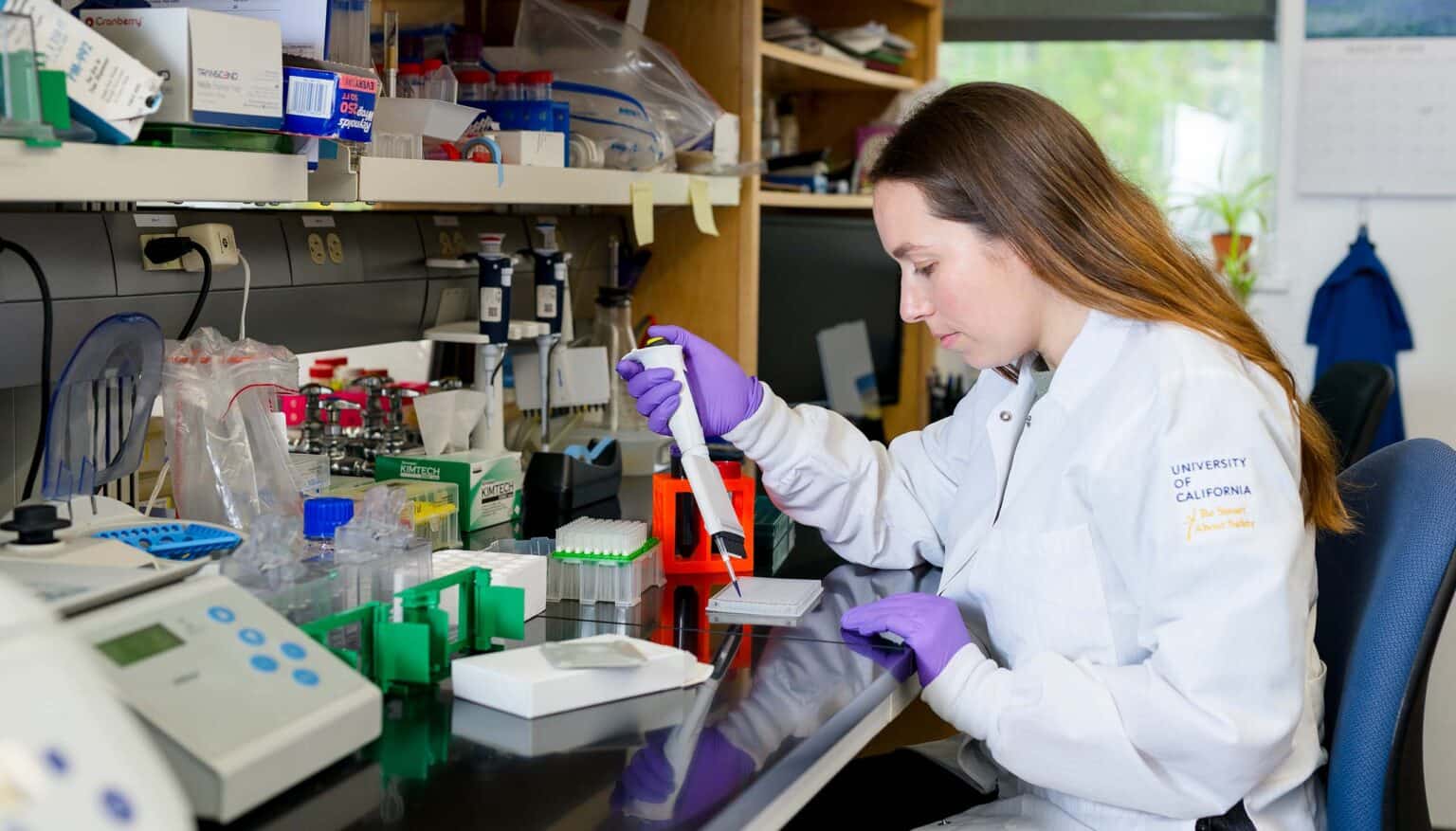Droga experimental faz ratos obesos queimarem gordura sem perder músculo e sem comer menos