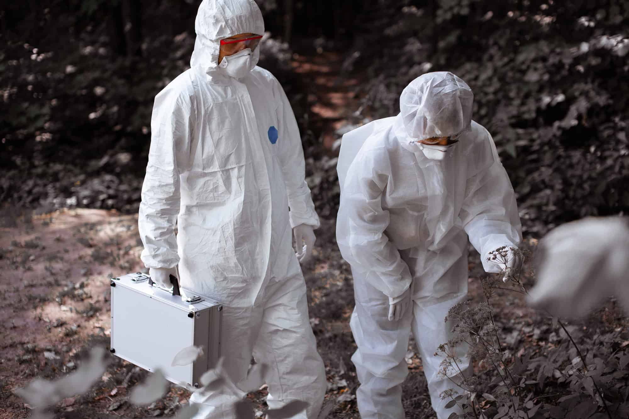 Pesquisadores com roupas de proteção coletam amostras durante trabalho de campo em uma área de floresta.