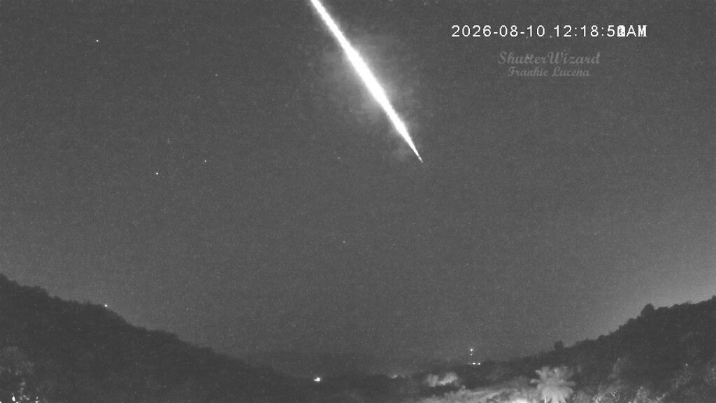 perseidas porto rico