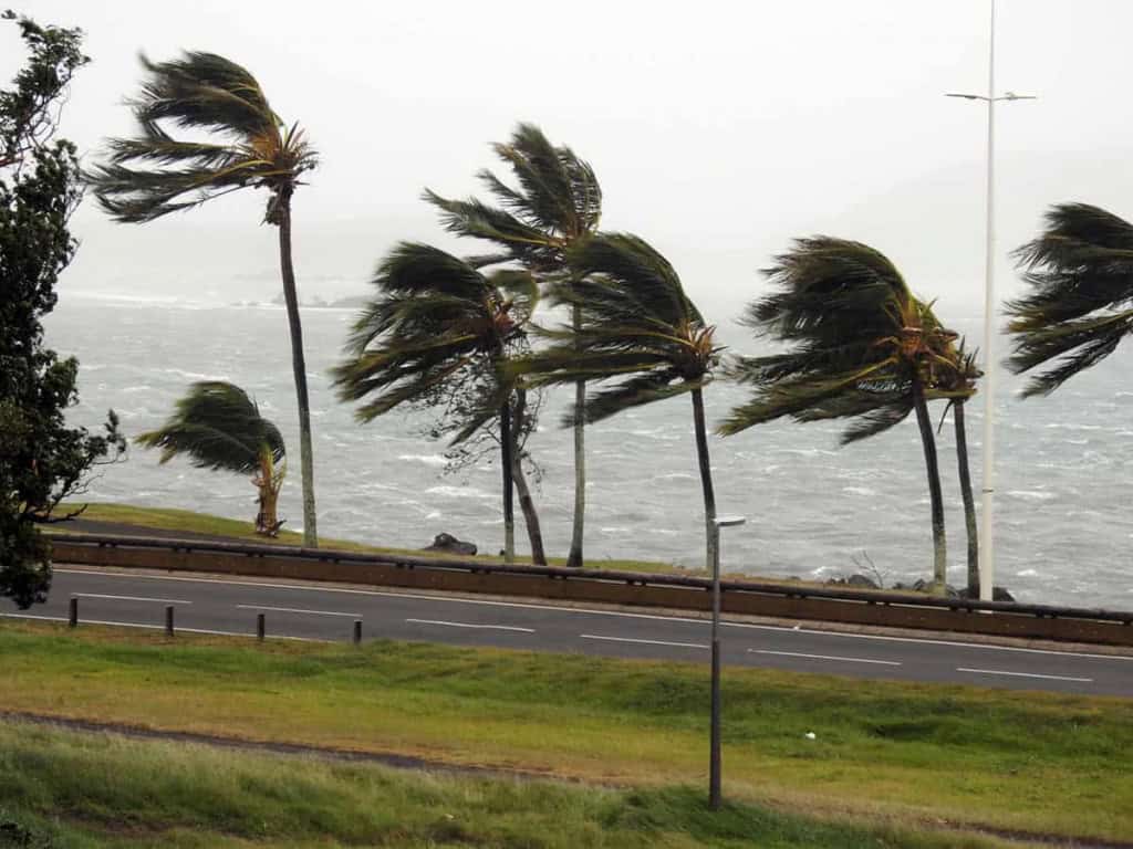 ventania em uma praia