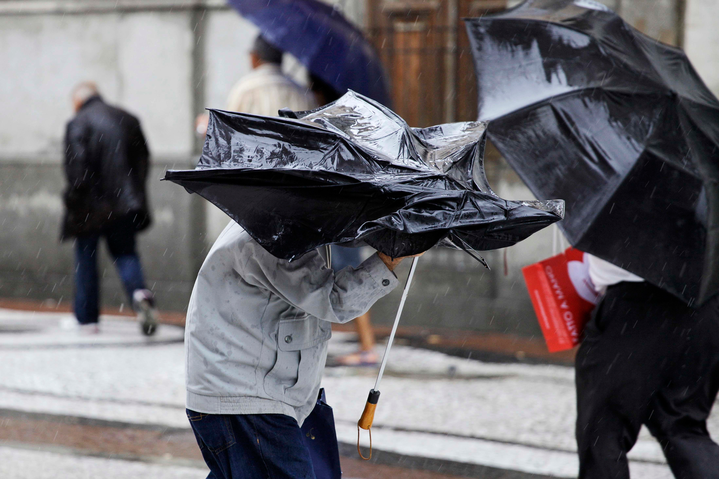 El Niño já influencia o Brasil, mas não explica sozinho as ventanias em SP e no RJ