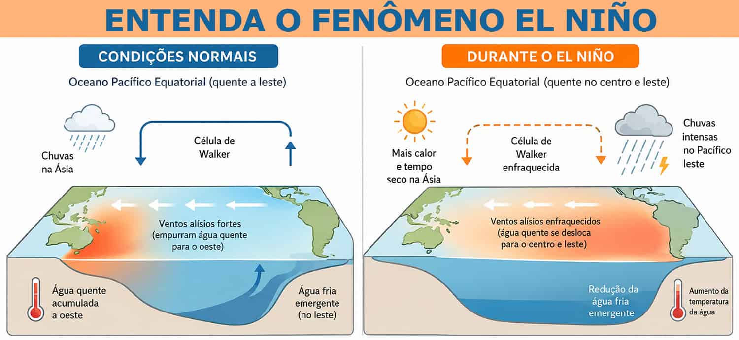 EL NInO INFOGRAFICO