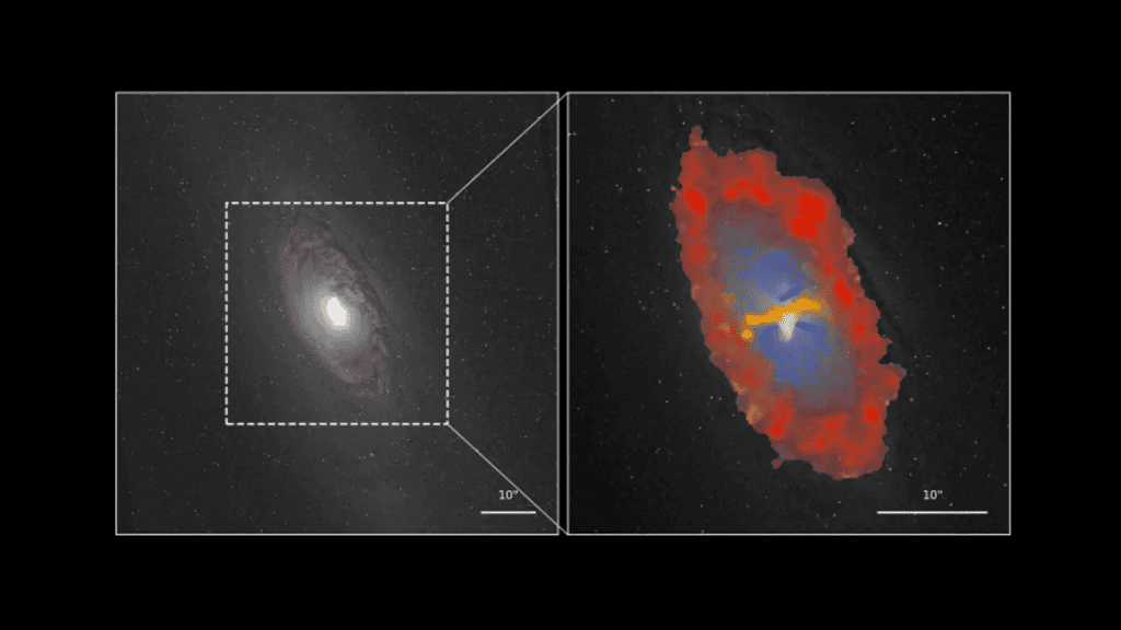 Região central da NGC 1386 com o anel de formação estelar em vermelho, a radiação do buraco negro em azul e os choques em amarelo – Imagem: Peixin Zhu