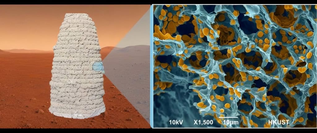 Material de construção vivo pode ser impresso em 3D sob condições marcianas simuladas a -30°C e 0,01 atm (esquerda). Uma visão microscópica revela a estrutura porosa do material, com polímeros e leveduras geneticamente modificadas destacadas em amarelo (direita).