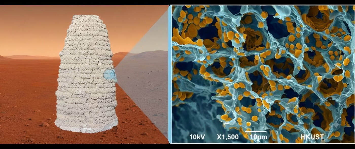 Material de construção vivo pode ser impresso em 3D sob condições marcianas simuladas a -30°C e 0,01 atm (esquerda). Uma visão microscópica revela a estrutura porosa do material, com polímeros e leveduras geneticamente modificadas destacada