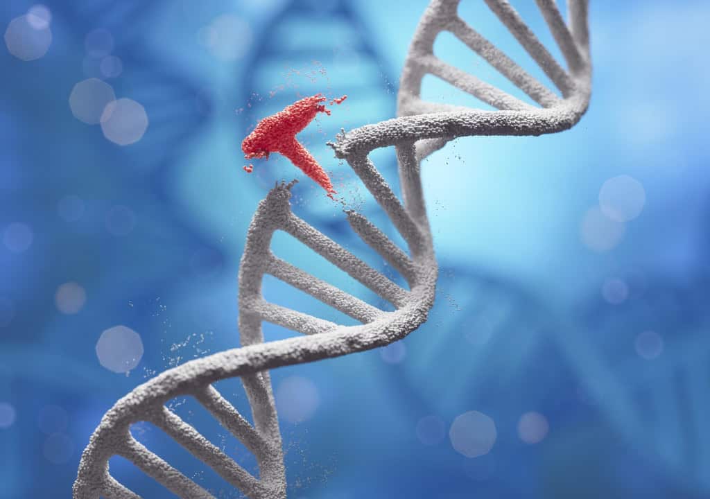Ilustração de uma molécula de DNA com uma parte da estrutura quebrada e se desprendendo