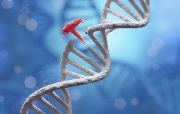 Ilustração de uma molécula de DNA com uma parte da estrutura quebrada e se desprendendo