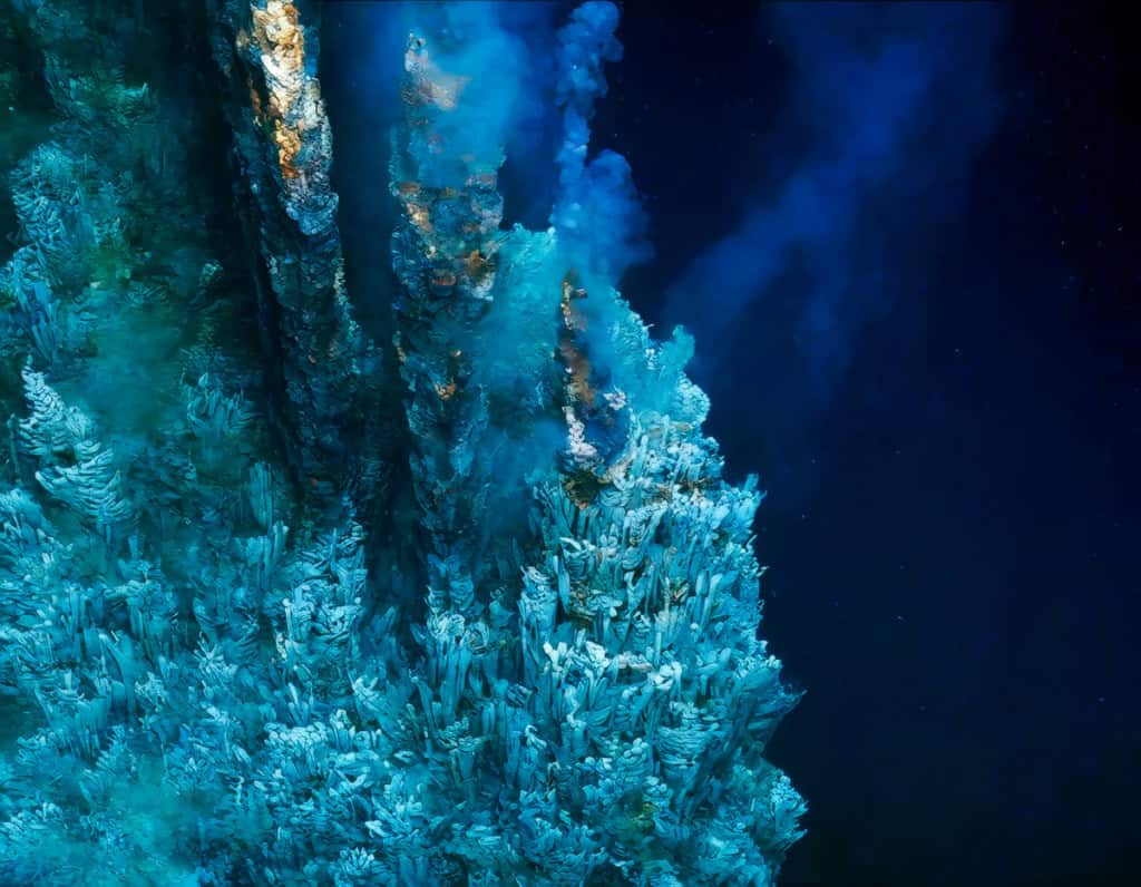 Se a vida não começou nas profundezas do oceano, a probabilidade de encontrarmos alienígenas pode ser menor. – Imagem: Gallwis/Shutterstock