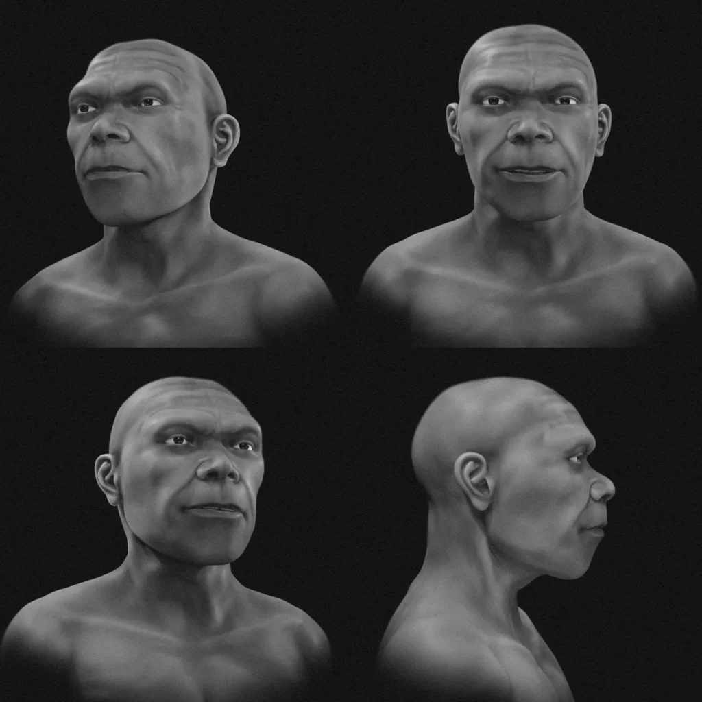 Homo sapiens
