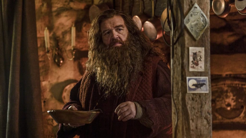 Nick Frost como Rúbeo Hagrid em cena da série Harry Potter e a Pedra Filosofal