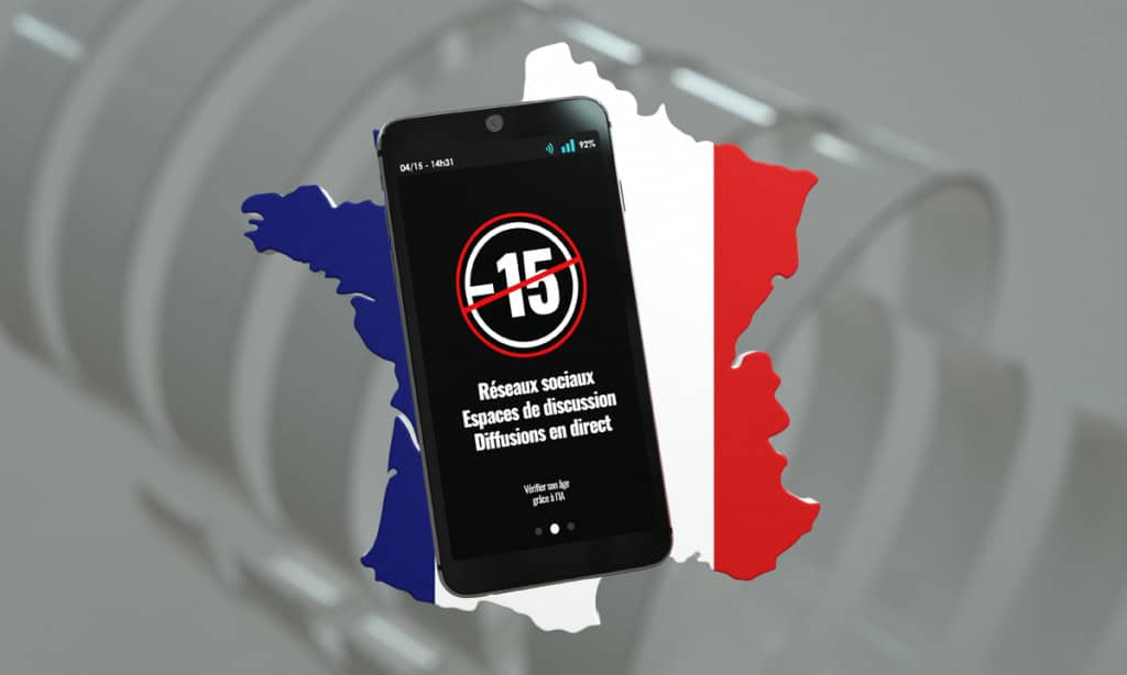 Redes sociais na França