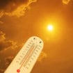 Calor extremo