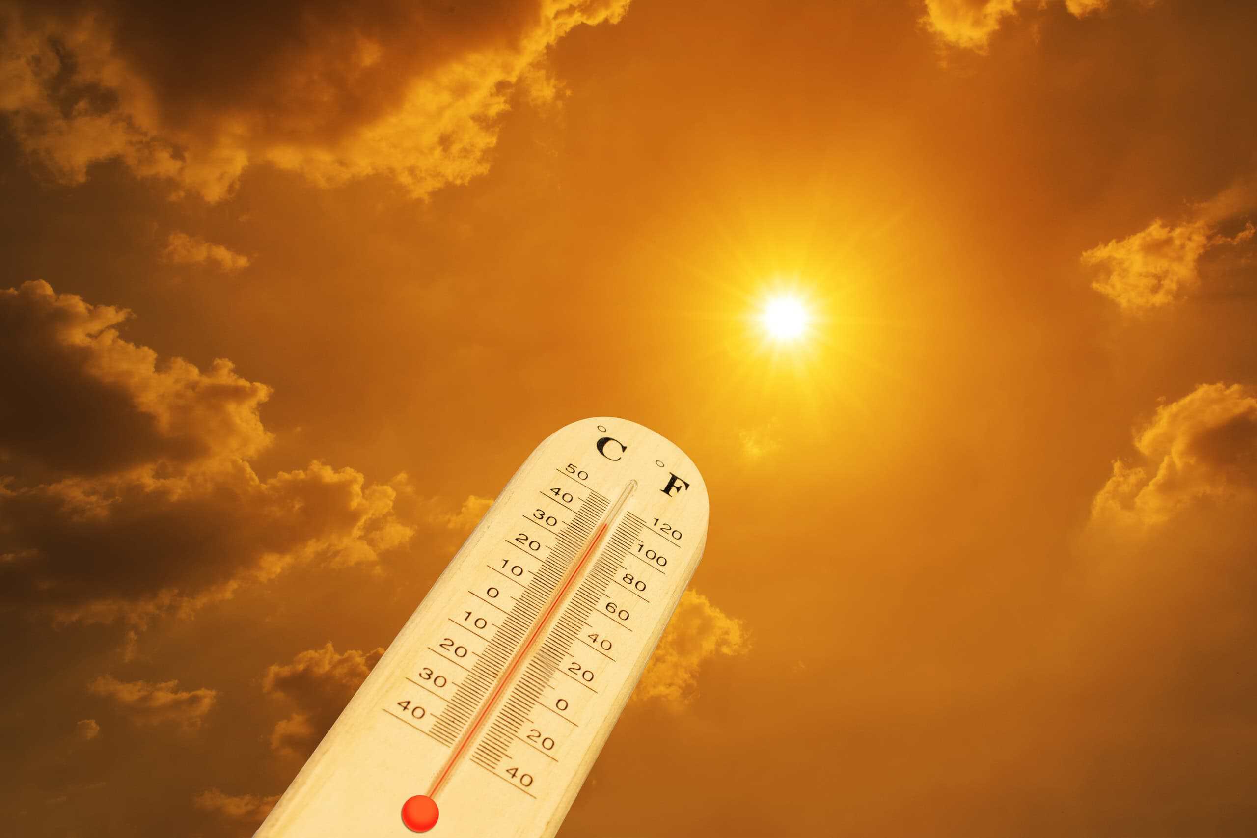 Resumo do OD: tempestade de calor, IA “escapulindo” de novo, Meta é cobrada e mais