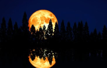 Lua de caçador