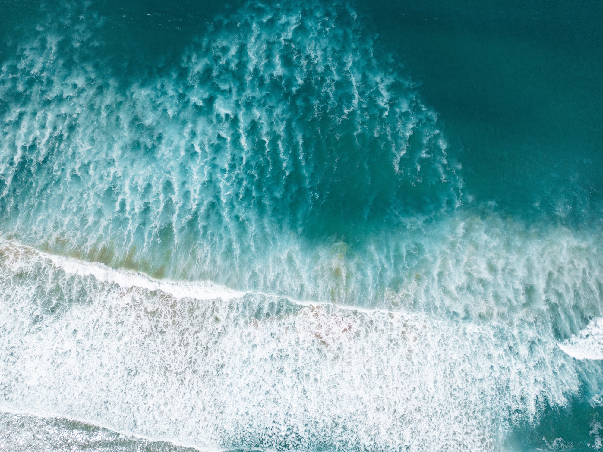 Imagem do oceano Pacífico com tonalidades que indicam variações na concentração de fitoplâncton