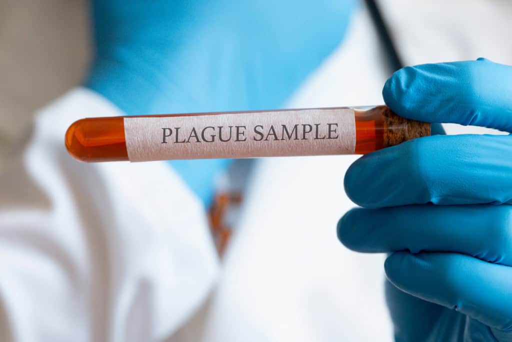 A peste pneumônica atinge os pulmões, é altamente contagiosa e pode ser transmitida por gotículas. – Imagem: Pietukhova/Shutterstock