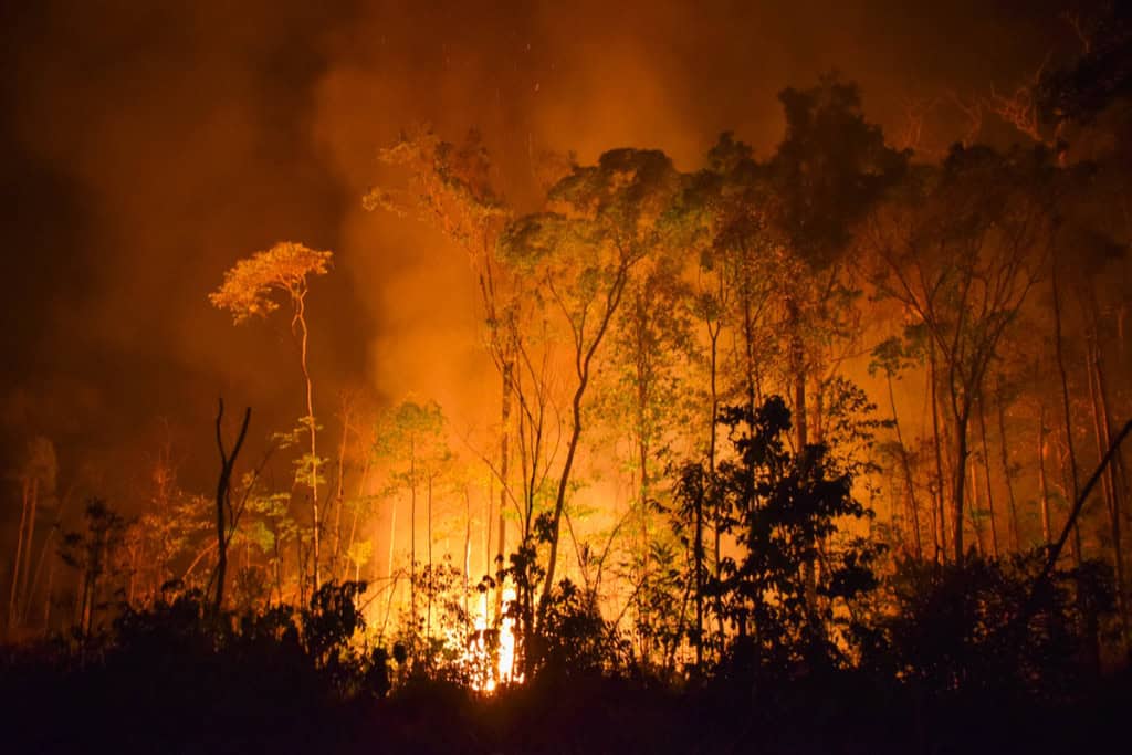 Queimada na região amazônica