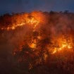 Incêndio florestal se espalha por uma área de vegetação durante a noite, com chamas intensas e fumaça sobre as árvores