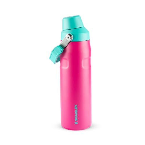 Imagem do produto Stanley - Garrafa de água Aerolight Fast Flow, garrafa isolada a vácuo para bebidas frias, aço inoxidável leve, 710 ml, Passion Pink