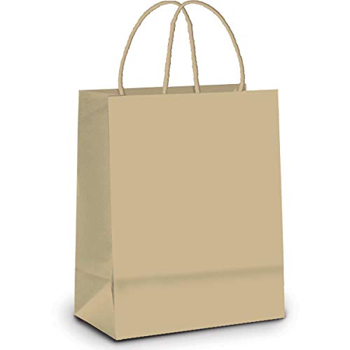 Imagem do produto Sacola De Papel Para Presente Kraft C/ 10 Unidades Lisa Na Cor Pardo - Tamanho 21,5x15x8 Cm - Cromus Embalagens
